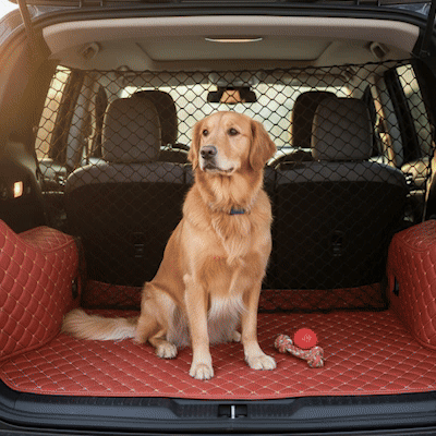 Filet voiture chien | SecuriTravel