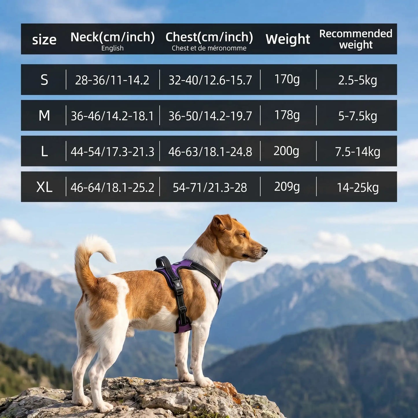 Harnais pour petit Chien | Confort Sécurisé