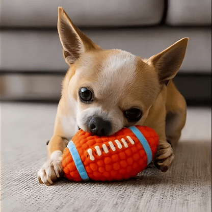 Balle pour chien ultra rebondissante jeux extérieur fetch résistante mâchoire 7– Lune et Museau