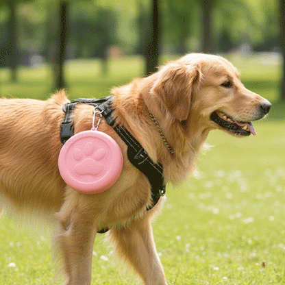 Gamelle pour chien ergonomique antidérapante inox confort alimentation - vue 6– Lune et Museau

