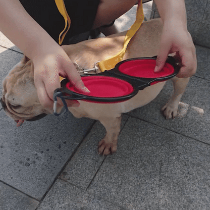 Gamelle Chien | Ergonomique Antidérapante