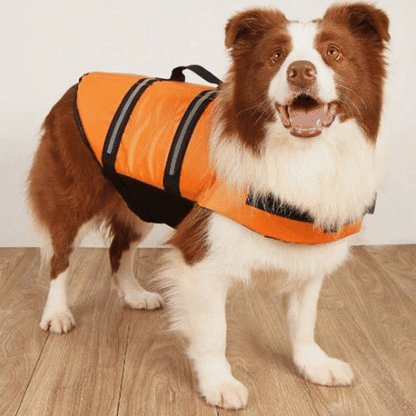 Gilet de sauvetage Chien | Flottabilité Optimale