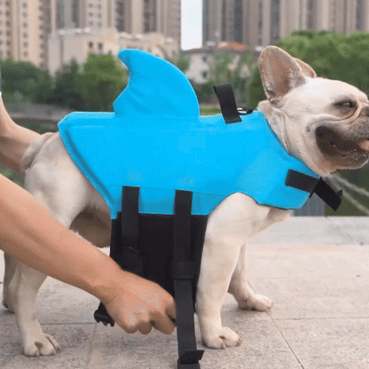 Gilet de sauvetage chien | Sécurité Aquatique