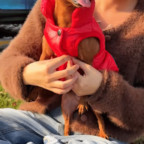 Manteau chien imperméable imperméabilisé 3 saisons pluie froid hiver automne printemps – vue 7 – Lune et Museau