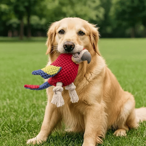 Peluche chien ultra-douce jouet intérieur doudou sécurisant réduction anxiété séparation 5 – Lune et Museau