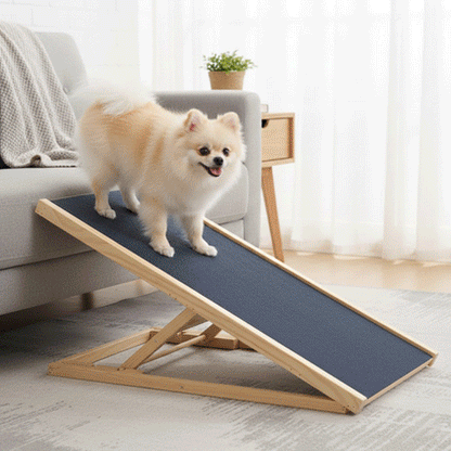 Rampe chien pliable antidérapante accès voiture canapé lit chien senior arthrose mobilité réduite 7 – Lune et Museau