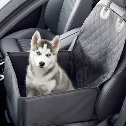Siège auto pour chien SecuriPaws sécurisé confortable trajet voiture – vue 6 - Lune et Museau