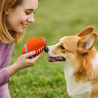 Balle chien rebondissante caoutchouc fetch jeux extérieur résistante – Lune et Museau
