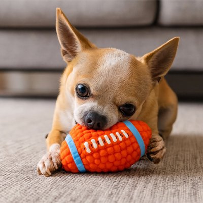 Balle pour chien ultra rebondissante jeux extérieur fetch résistante mâchoire 6– Lune et Museau
