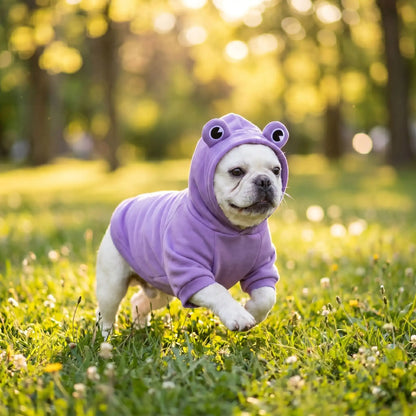 Déguisement Chien Grenouille