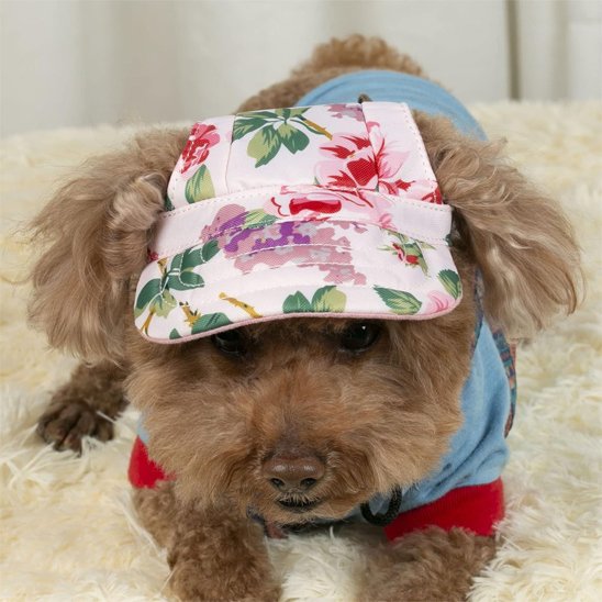 Casquette chien​ caniche avec un motif de fleurs
