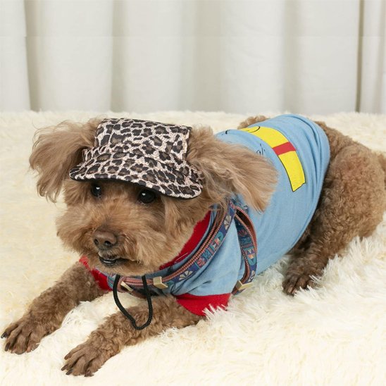 Casquette chien​ couché