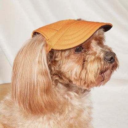 Casquette chien​ jaune-orange