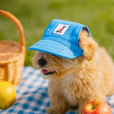 Casquette chien​ pic-nique
