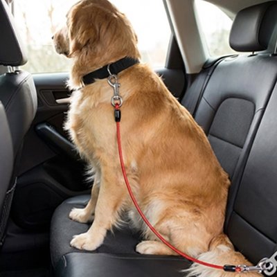 Ceinture sécurité chien voiture homologuée attache harnais ceinture de sécurité trajet route protection 5 – Lune et Museau