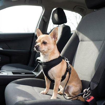 Ceinture sécurité chien voiture homologuée attache harnais ceinture de sécurité trajet route protection  3– Lune et Museau