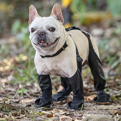 Chaussures chien | Imperméables Pro – Lune et Museau
