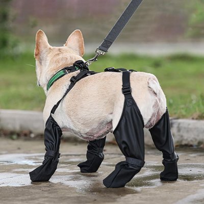 Chaussures chien | Imperméables Pro – vue 5 – Lune et Museau