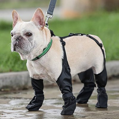 Chaussures chien | Imperméables Pro – vue 4 – Lune et Museau