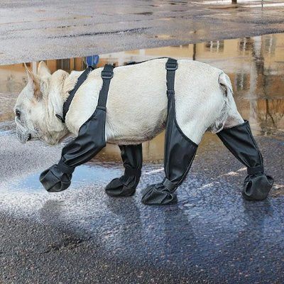 Chaussures chien | Imperméables Pro – vue 2 – Lune et Museau
