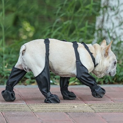 Chaussures chien | Imperméables Pro – vue 2 – Lune et Museau
