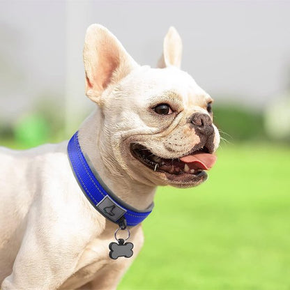 Collier chien robuste élégant réglable résistant promenade ville campagne – vue 3 – Lune et Museau