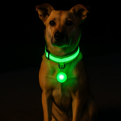 Collier lumineux pour chien jaune