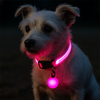 Collier lumineux pour chien rose