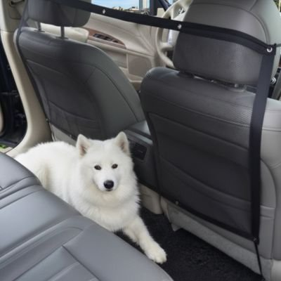 Filet pour chien pour voiture avec chien couché derriere
