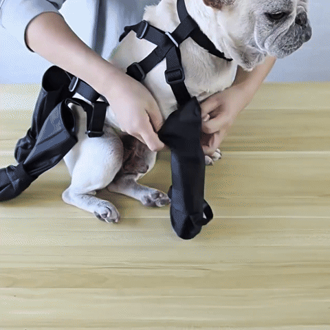 Chaussures chien | Imperméables Pro – vue 8 – Lune et Museau