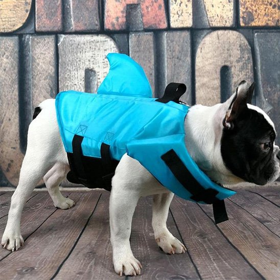 Gilet de sauvetage chien bleu 
