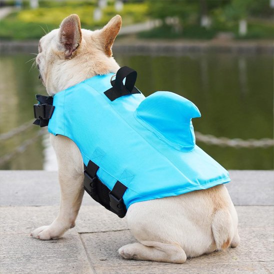 Gilet de sauvetage chien bleu