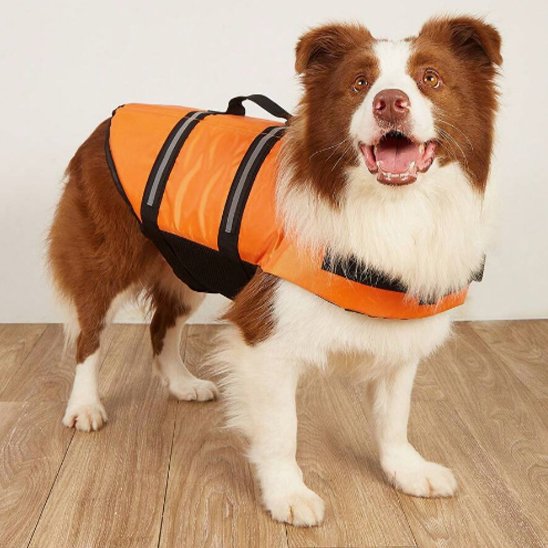 Gilet de sauvetage Chien orange