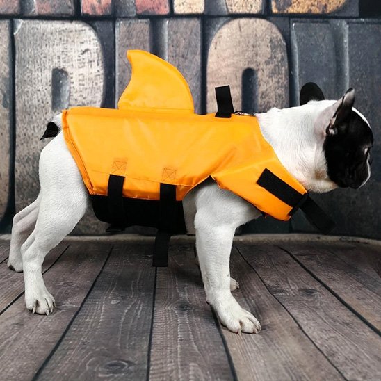 Gilet de sauvetage chien orange