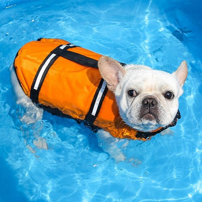 Gilet de sauvetage Chien petit chien dans la piscine