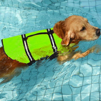 Gilet de sauvetage Chien qui nage
