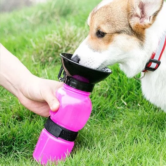 Gourde pour chien​ rose et chien qui boit eau fraîche