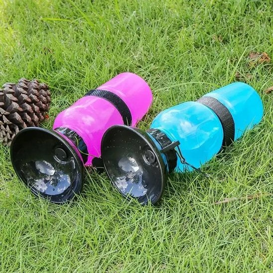 Gourde pour chien​ sur gazon parc