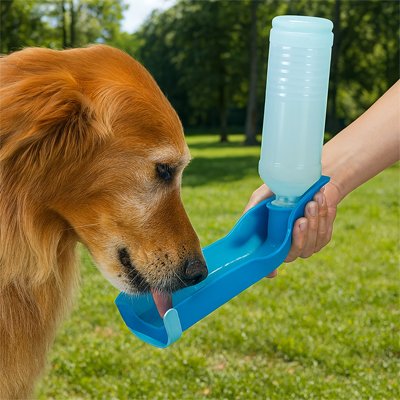 Gourde pour Chien