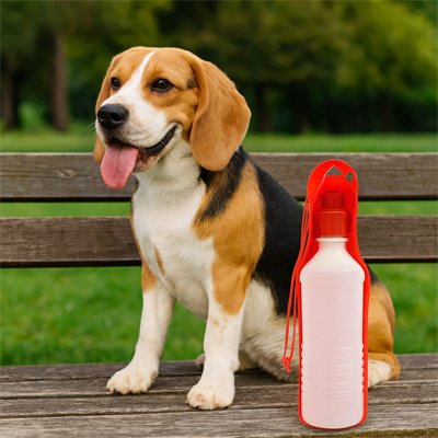 Gourde pour Chien