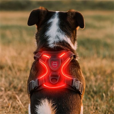 Harnais chien confort sécurité anti-traction sangles ajustables promenade – Lune et Museau