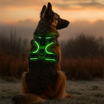 Harnais chien confort sécurité anti-traction sangles ajustables promenade 2 – Lune et Museau