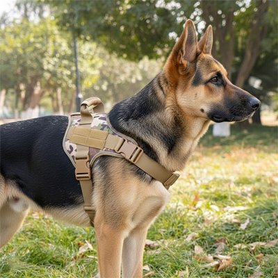 Harnais chien confort sécurisé sangles ajustables anti-traction promenade – vue 4 – Lune et Museau