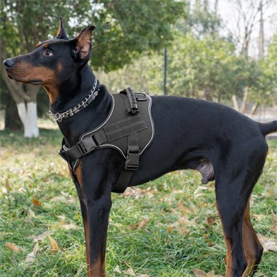 Harnais chien anti-traction confort sécurisé sangles réglables promenade – vue 3 – Lune et Museau