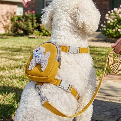 Harnais pour chien assied sur gazon 
