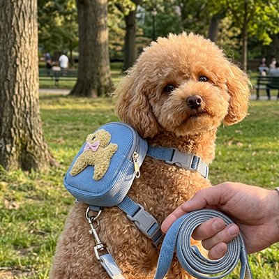 Harnais pour chien dans un parc
