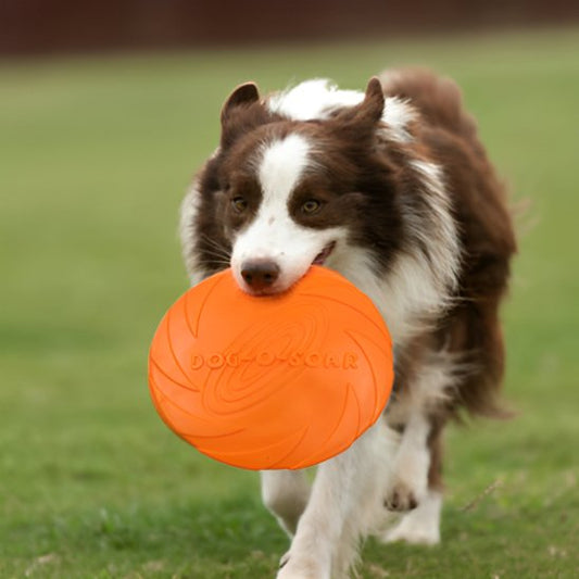 Frisbee chien résistant jeux extérieur lancer rapporter fetch – Lune et Museau