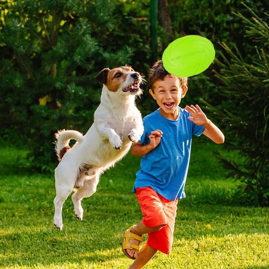 Frisbee pour chien DurActive résistant jeux extérieurs lancer fetch 4– Lune et Museau