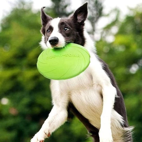Frisbee pour chien DurActive résistant jeux extérieurs lancer fetch 3 – Lune et Museau
