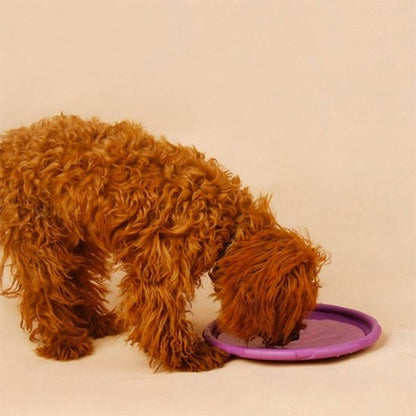 Frisbee pour chien DurActive résistant jeux extérieurs lancer fetch 5– Lune et Museau